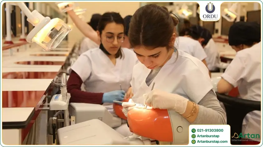 دانشجوی بورسیه دانشگاه اردو