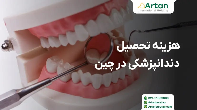 هزینه تحصیل دندانپزشکی در چین